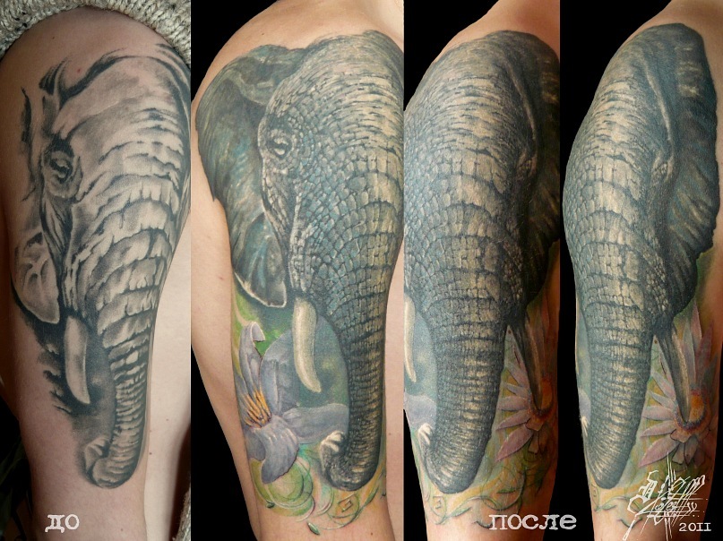 Фото и значение татуировки " Слон ". Y_625b7421
